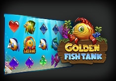 Golden Fish Tank